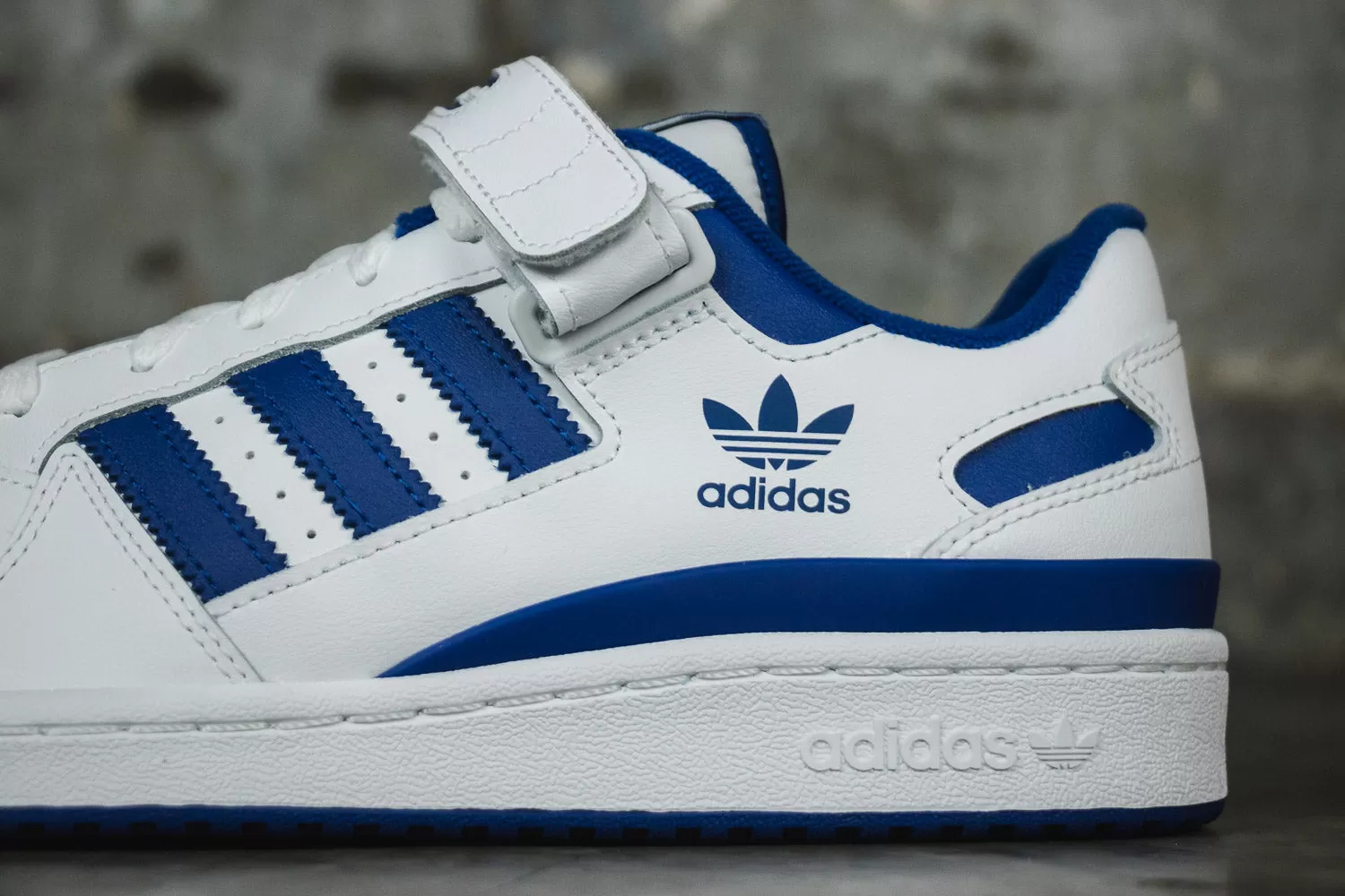 adidas Forum Low "Royal Blue"