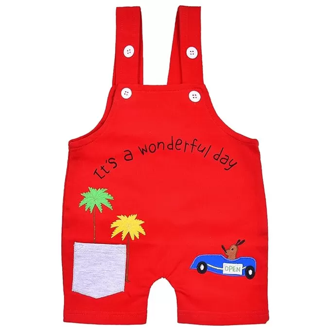 Boys T-shirt and Dungaree Set