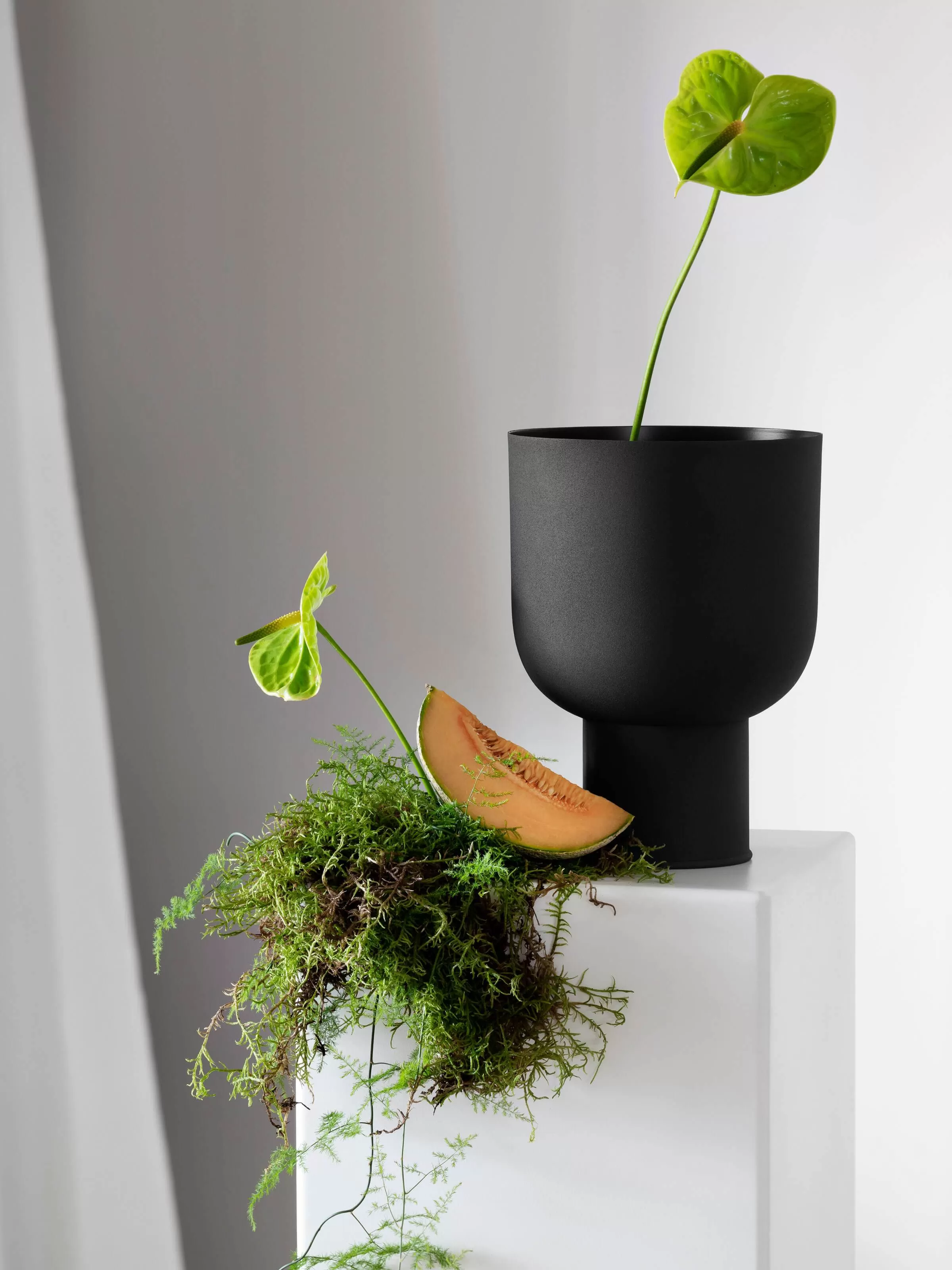 L and M Home Mona Curve Pot