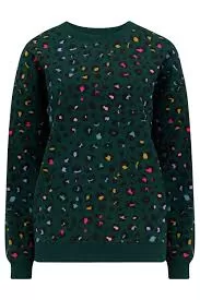 Sugarhill - Noah Sweatshirt -  Green Rainbown Leopard