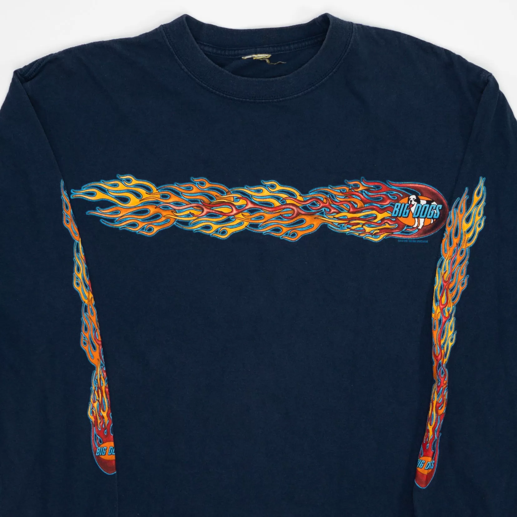 Vintage '01 Blue Big Dogs Flame Long Sleeve (M)