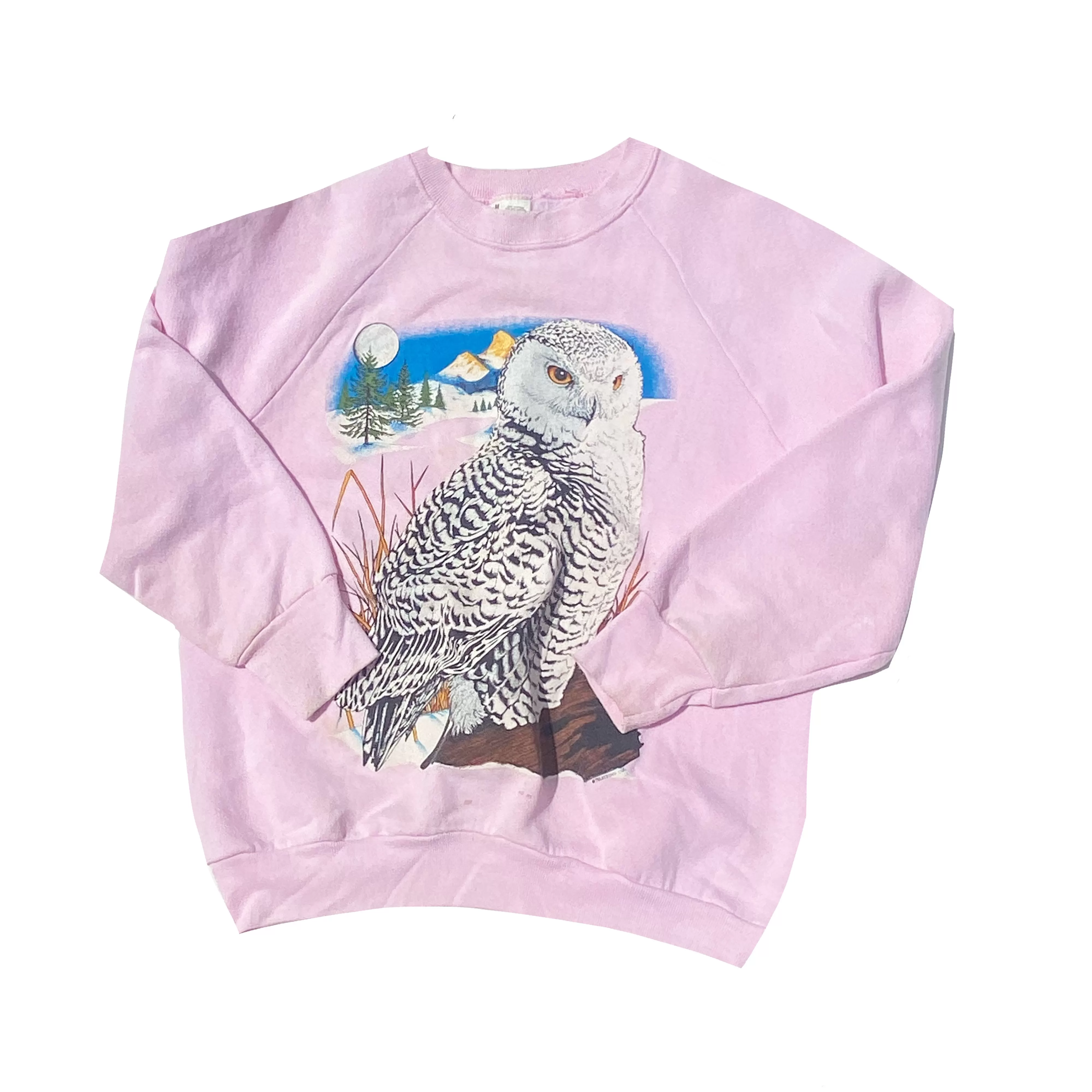 Vintage 90's Owl Sweatshirt